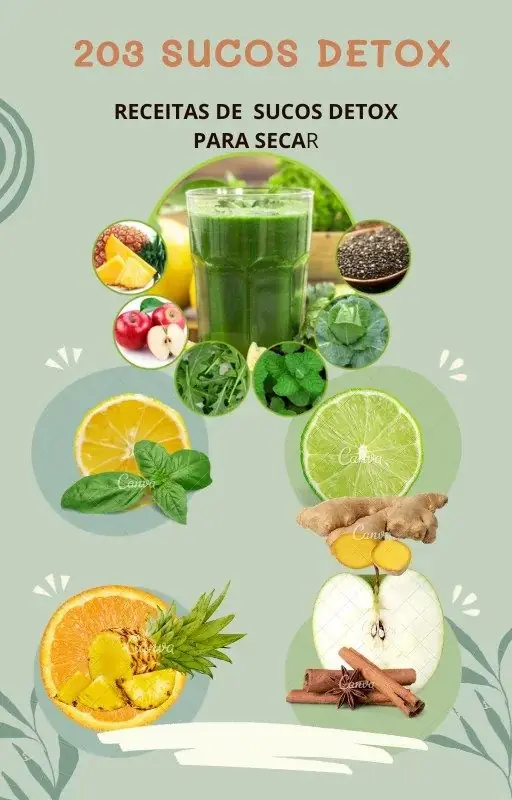 203 Sucos Detox Ebook PLR com Direito de Revenda - Capa do e-book